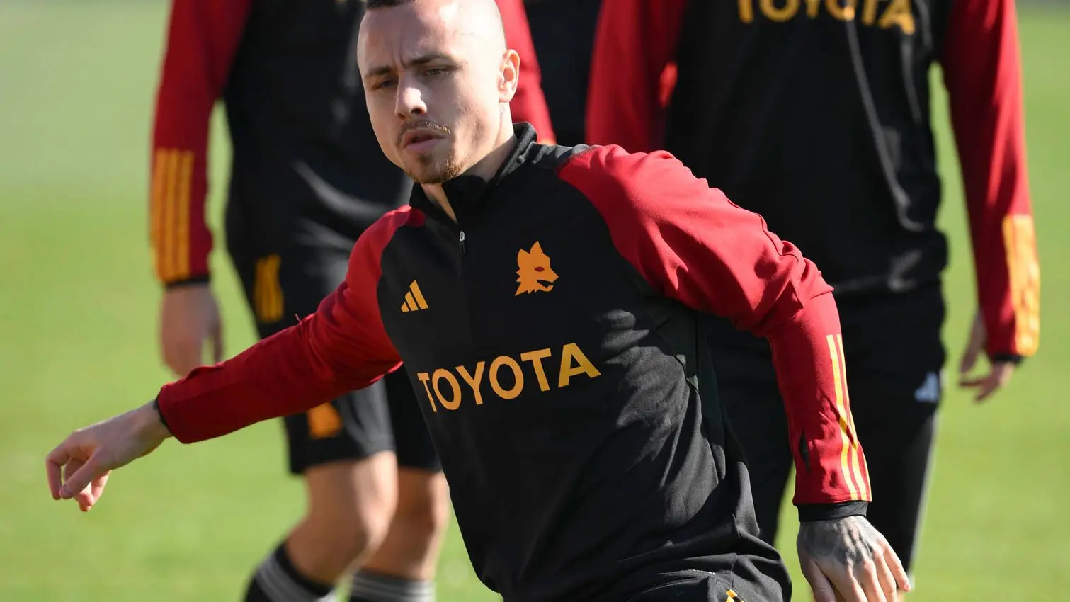trigoria angelino 2