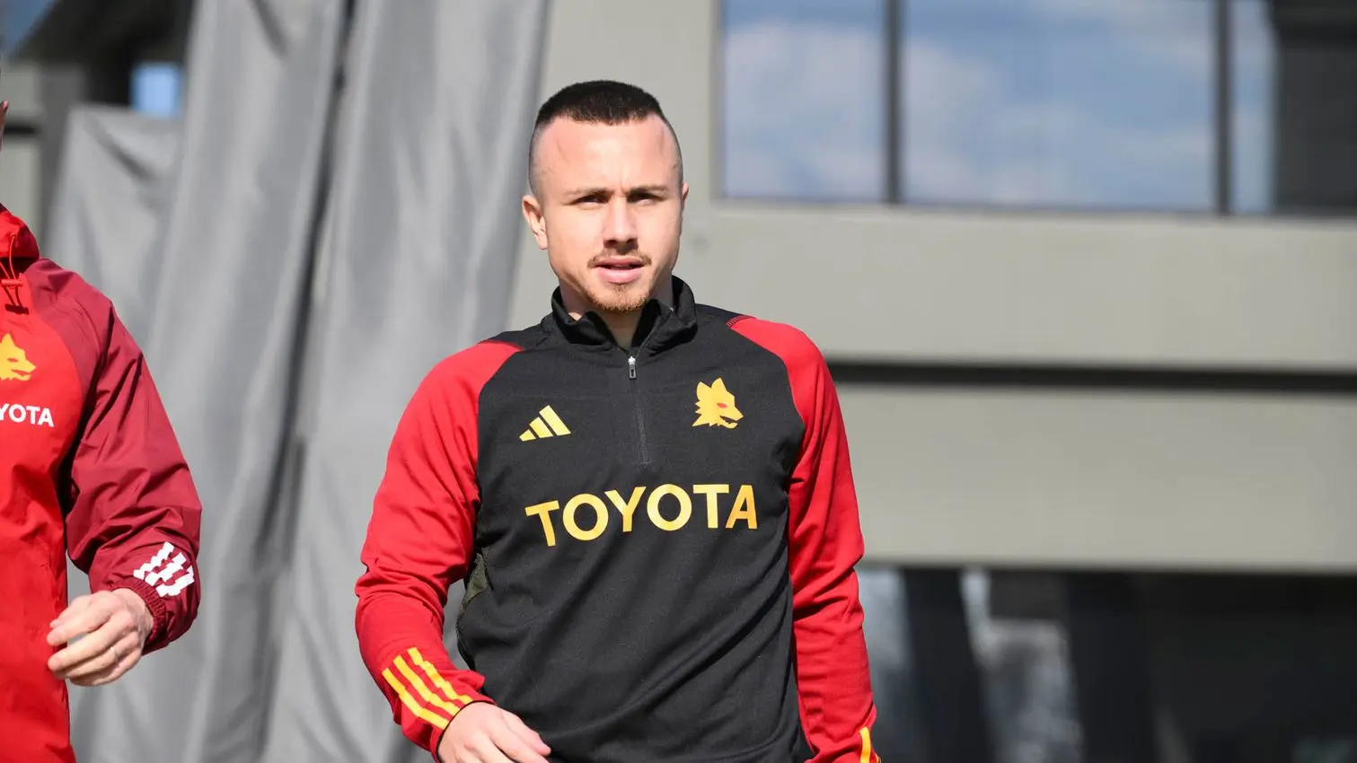 trigoria angelino