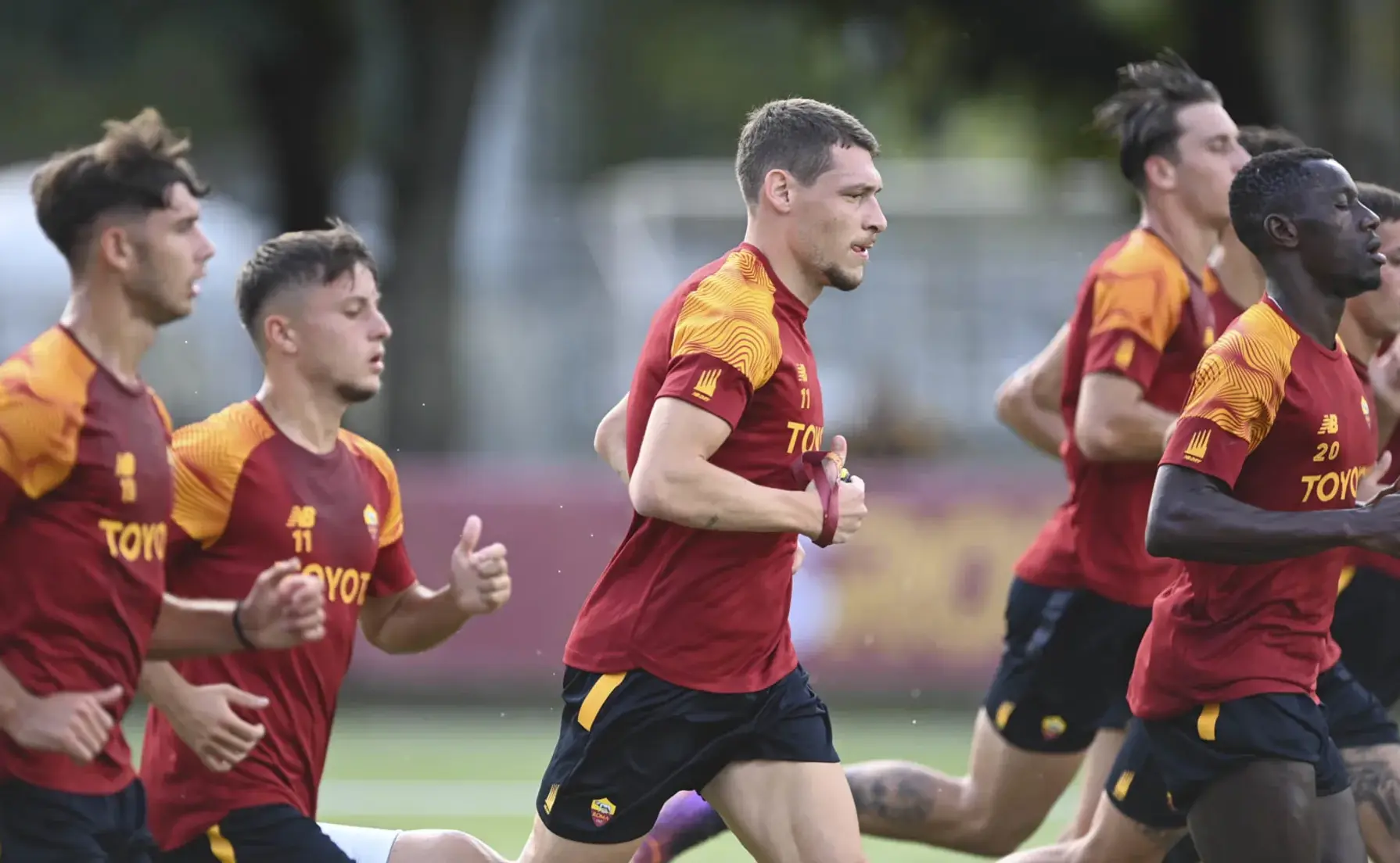 trigoria belotti