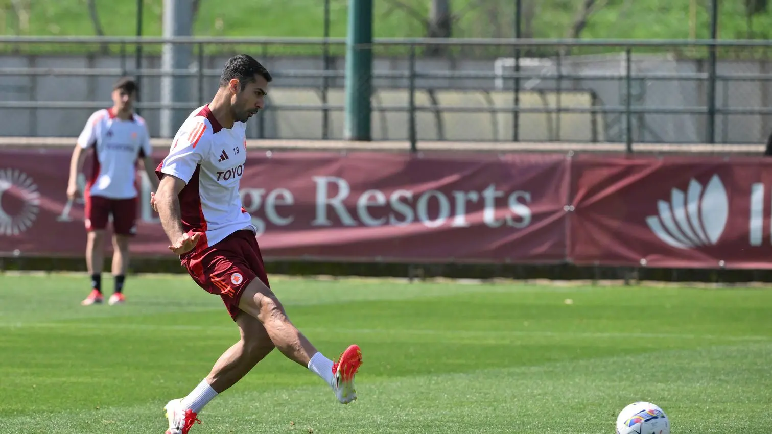 trigoria celik 1