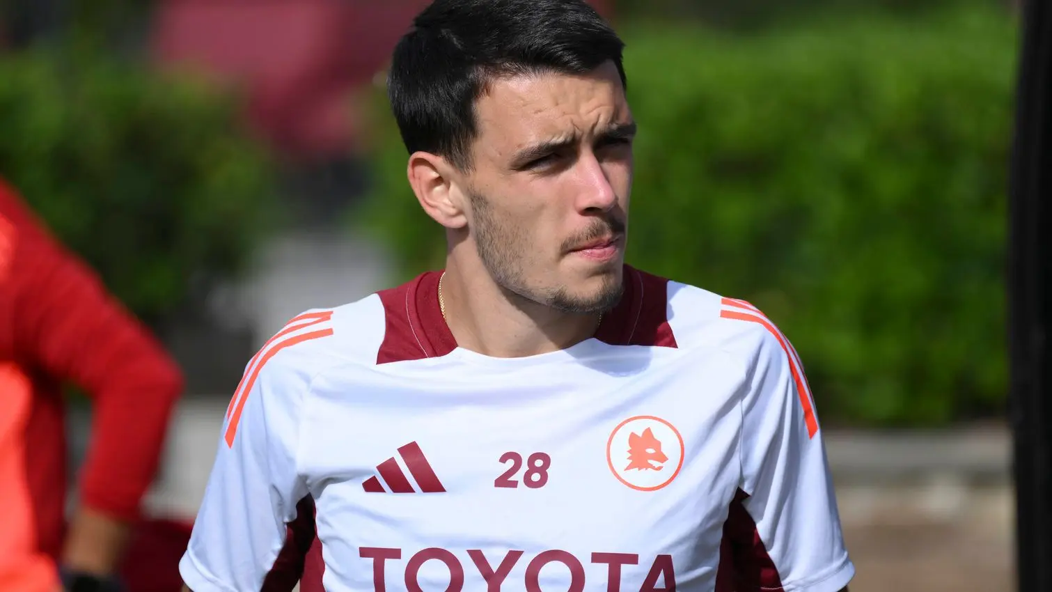 trigoria le fee 2