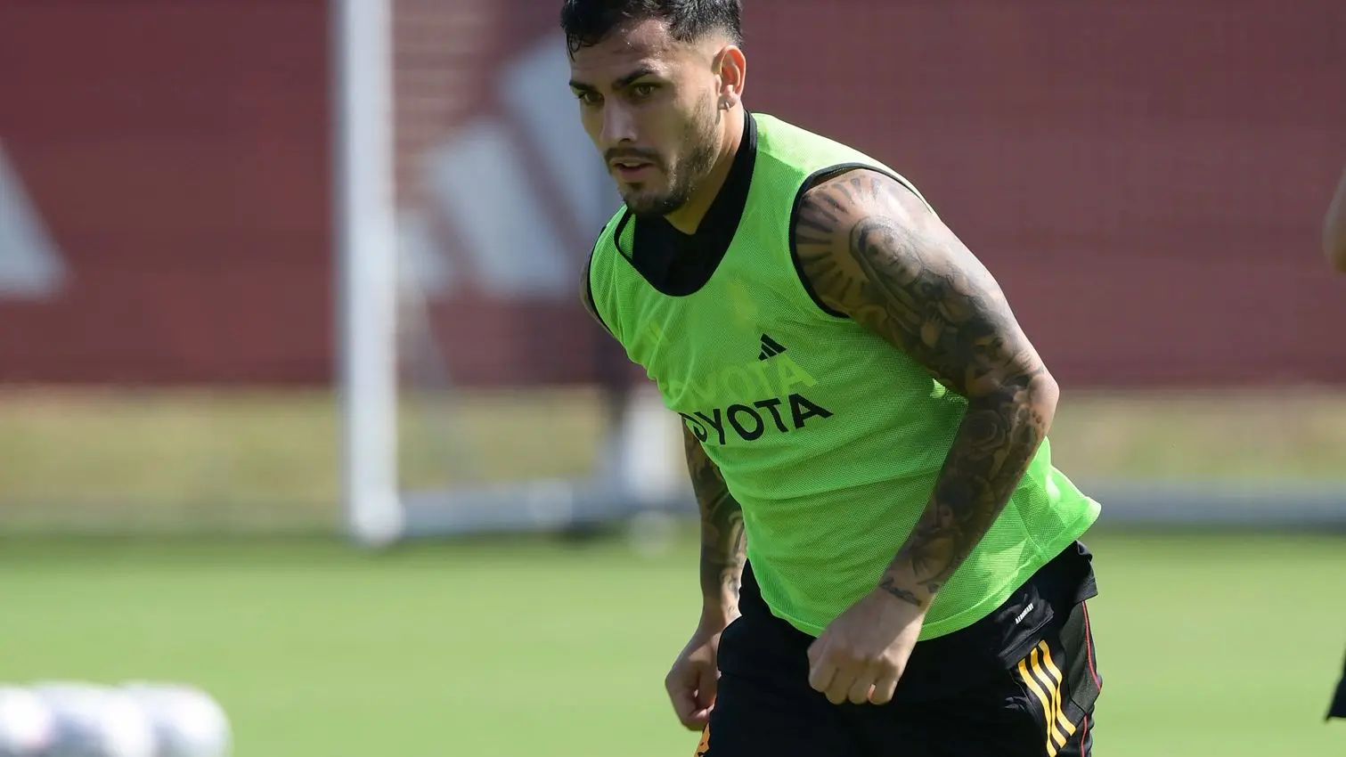 trigoria paredes 2