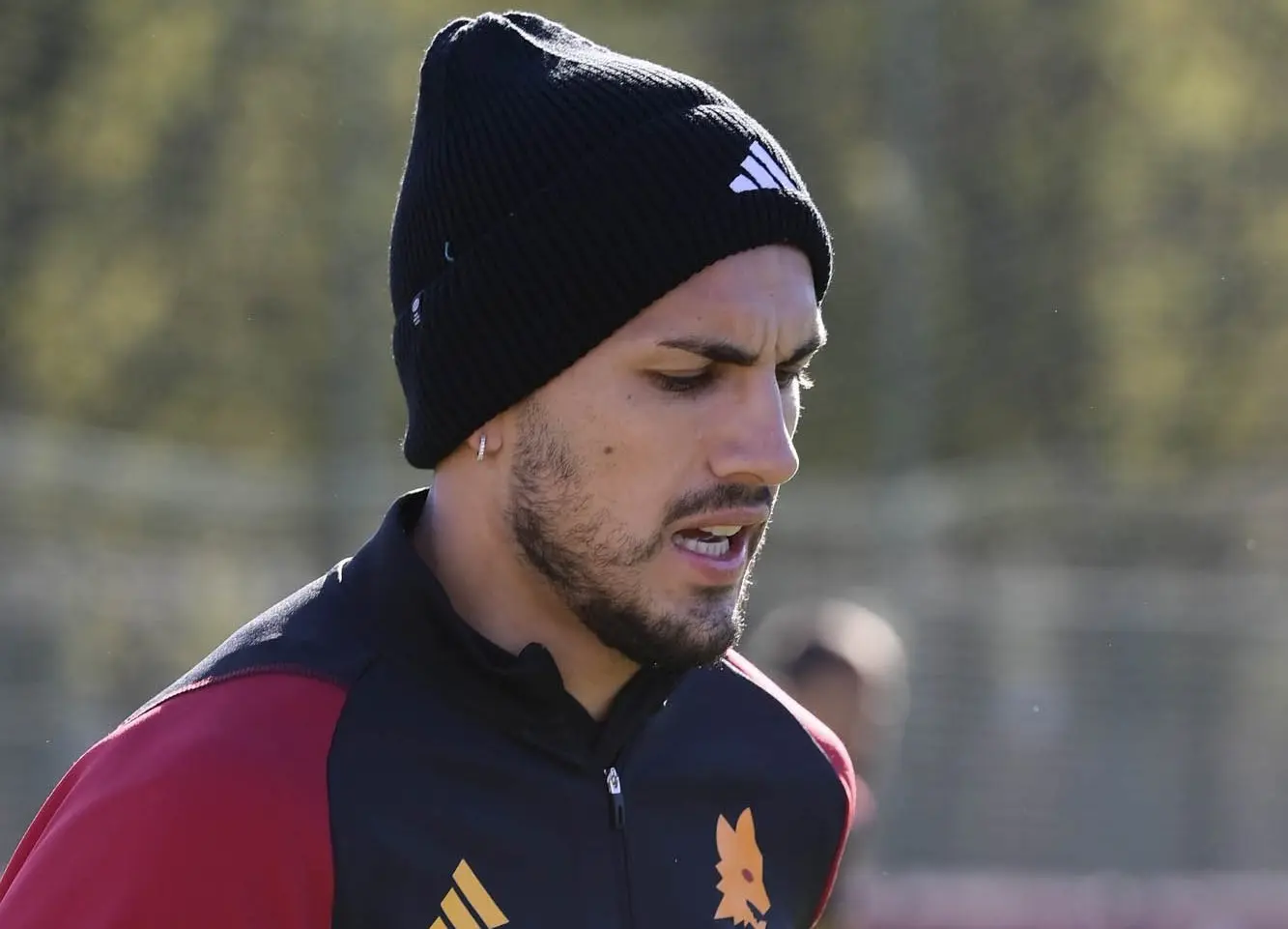 trigoria paredes 5