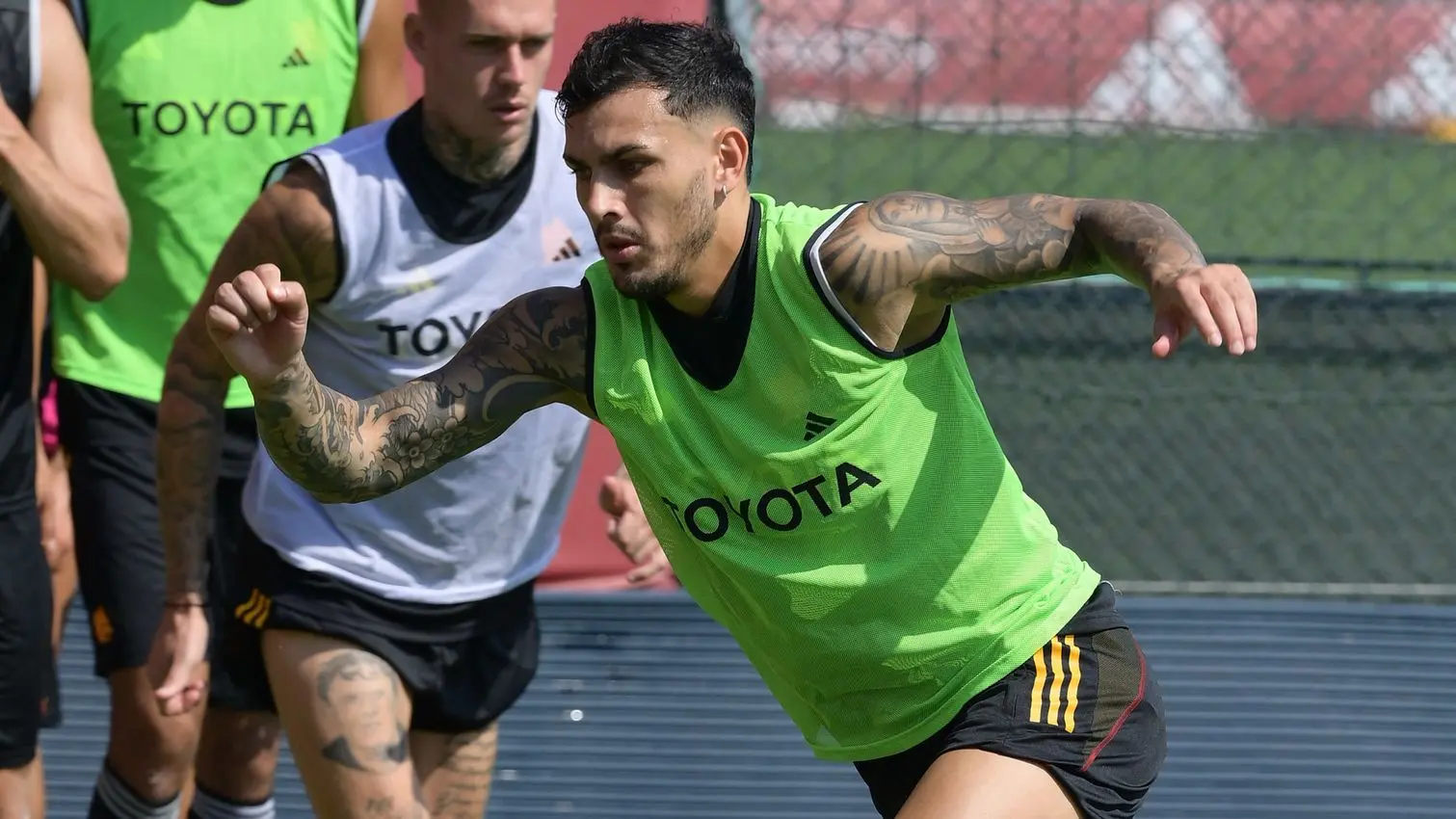 trigoria paredes