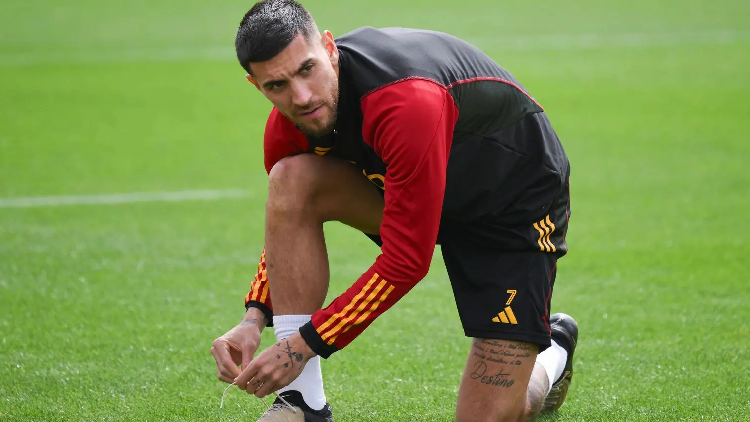 trigoria pellegrini 4