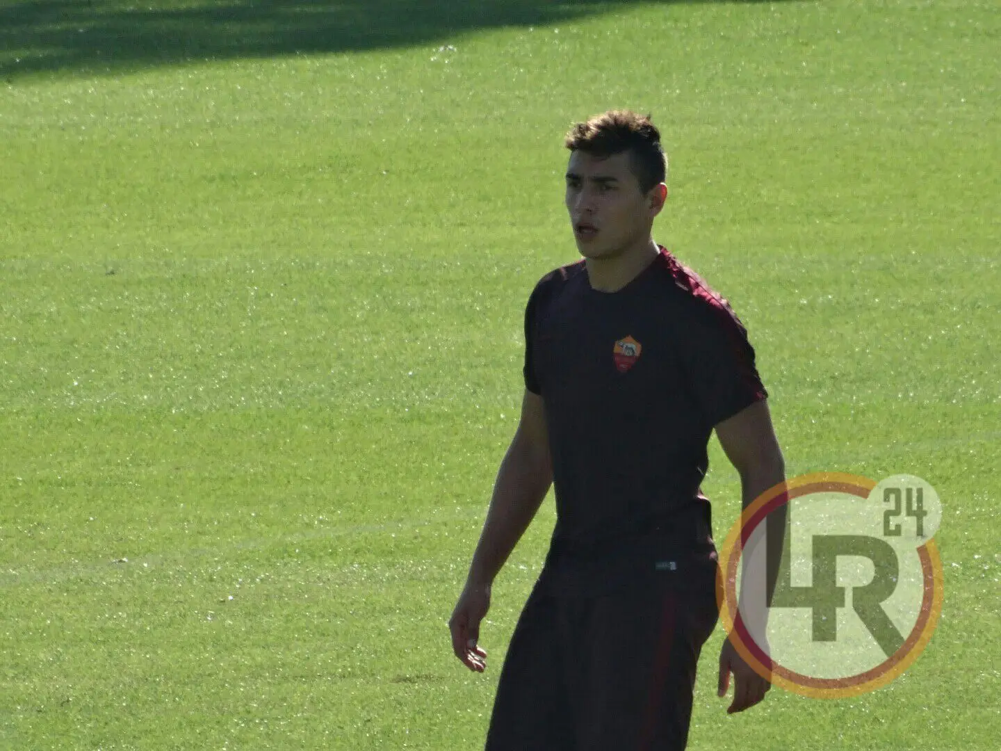trigoria ponce