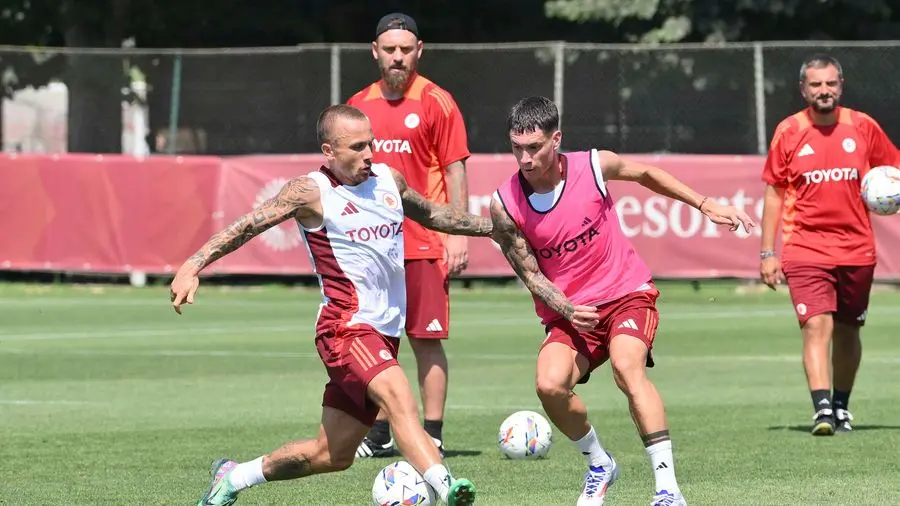 trigoria soule angelino