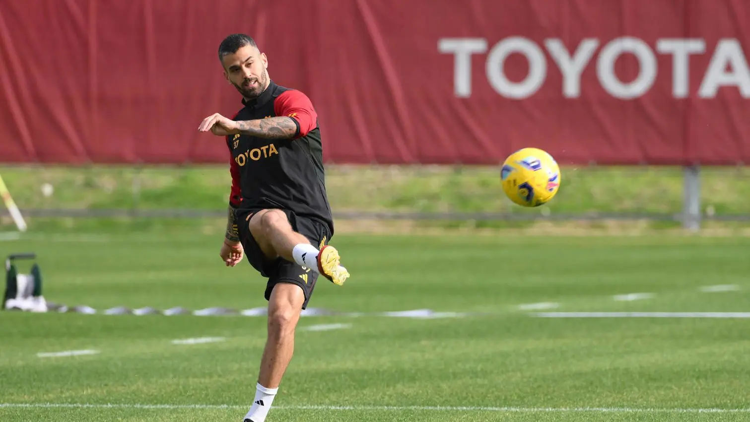 trigoria spinazzola