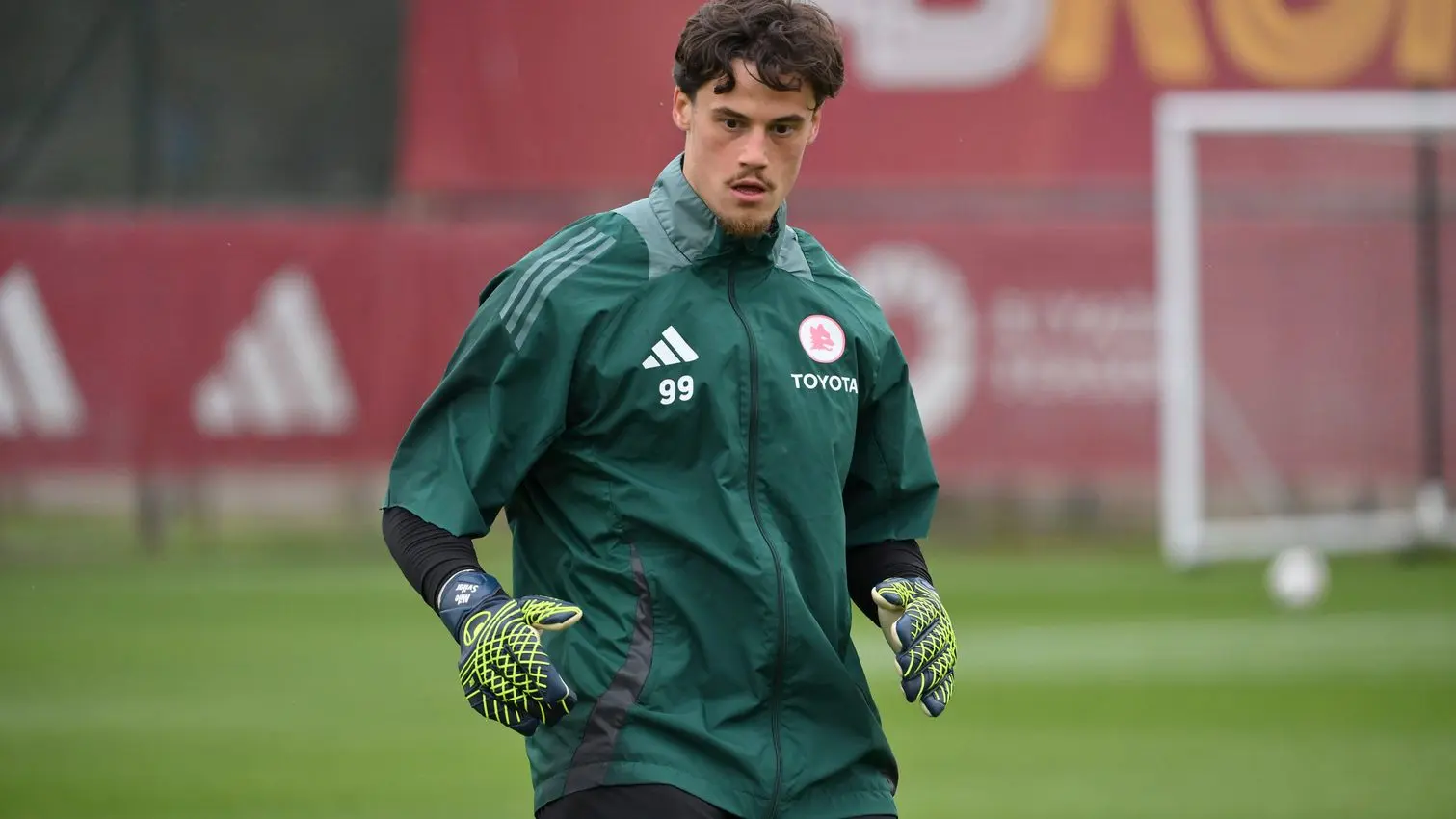 trigoria svilar