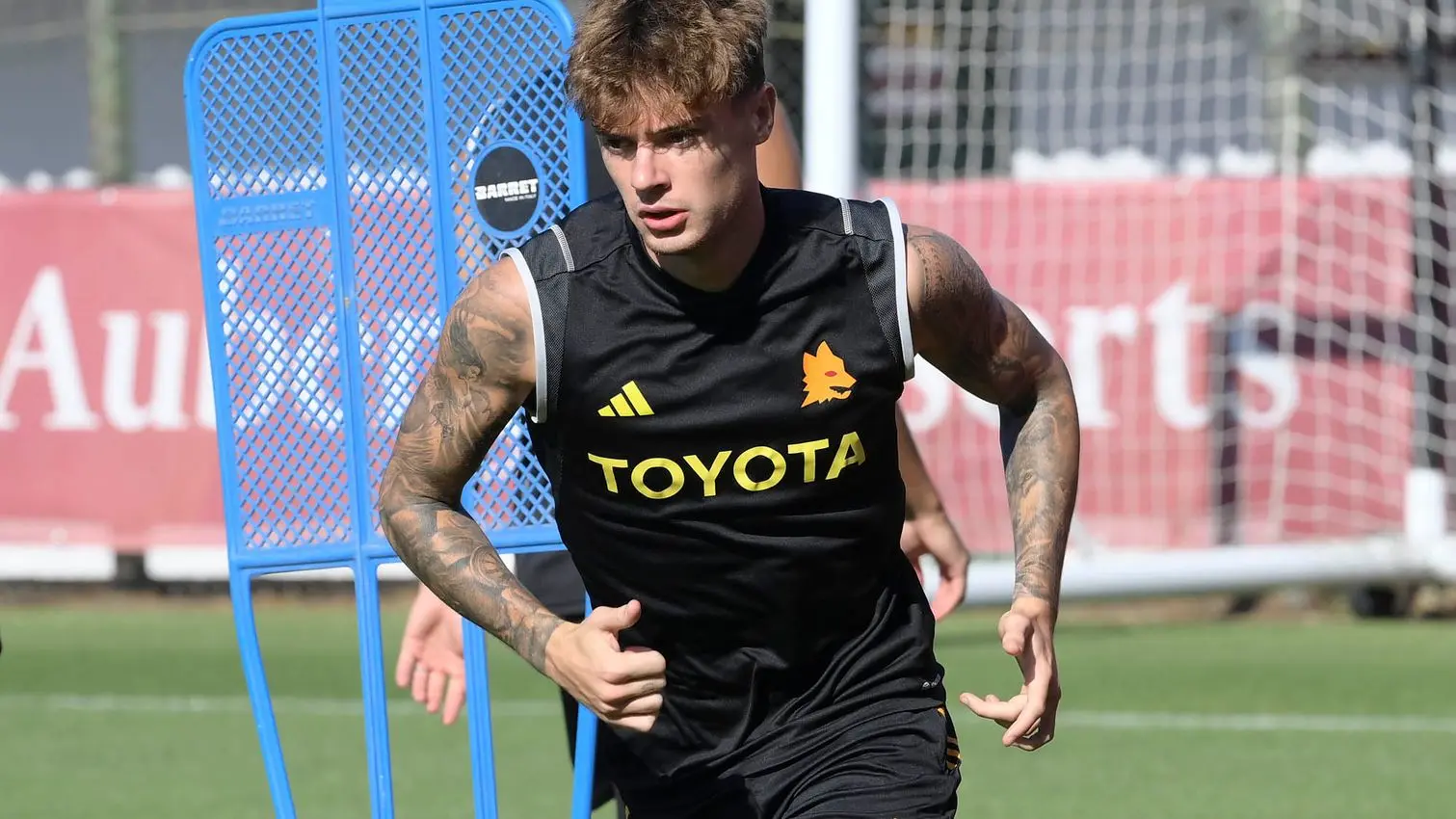 trigoria zalewski 2