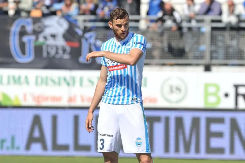vicari spal