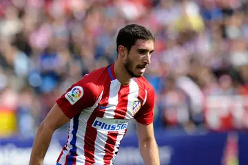 vrsaljko
