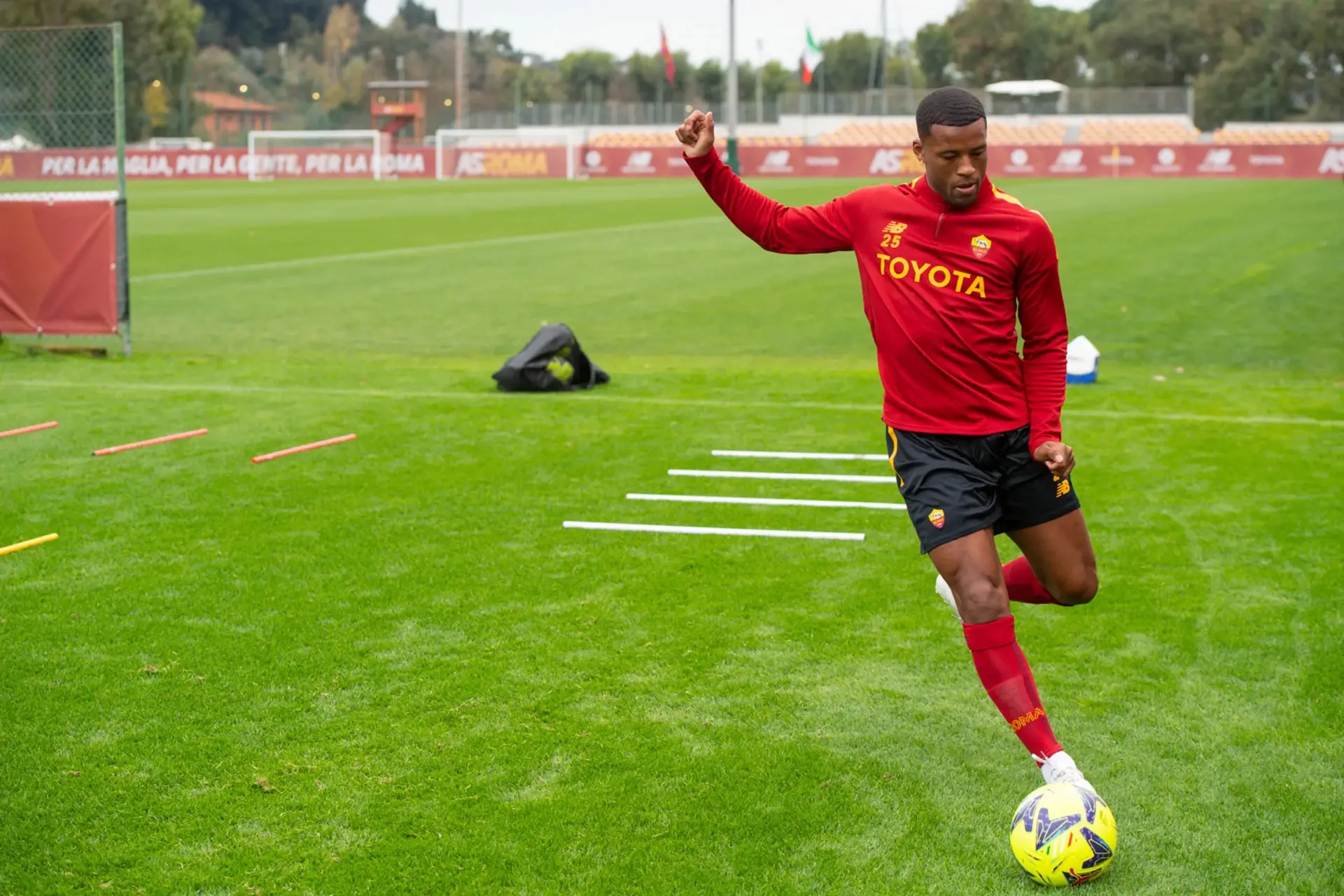 wijnaldum