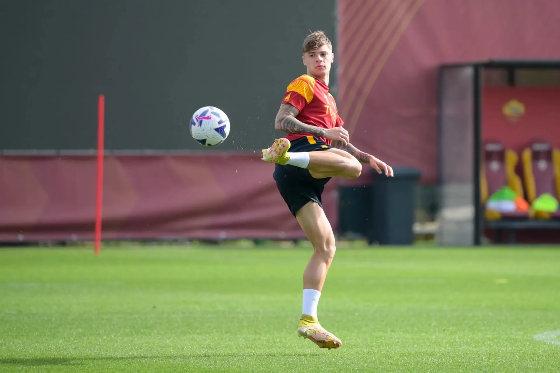 zalewski trigoria