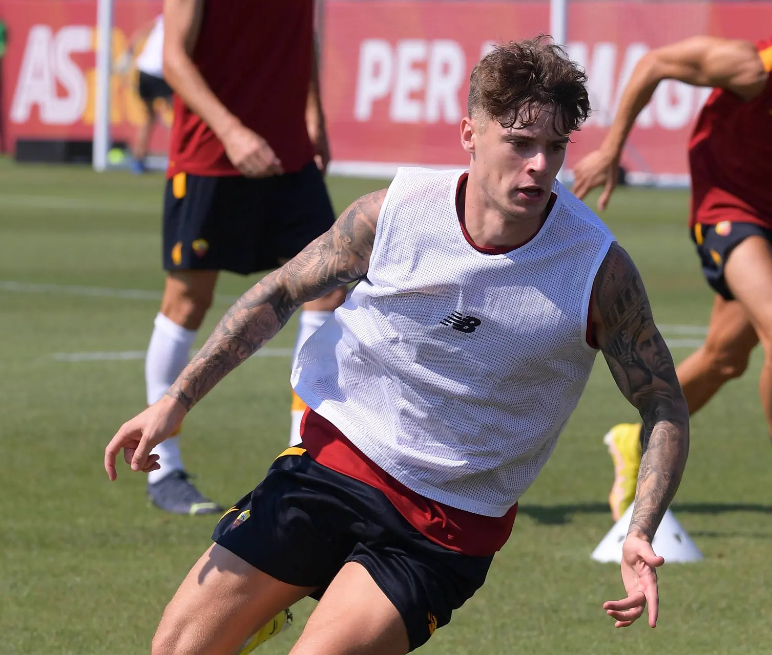 zalewski trigoria pp