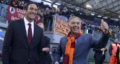 zanzi pallotta