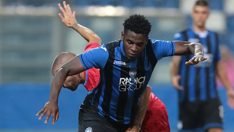 zapata