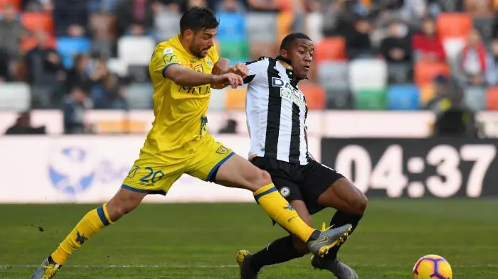 zeegelaar udinese
