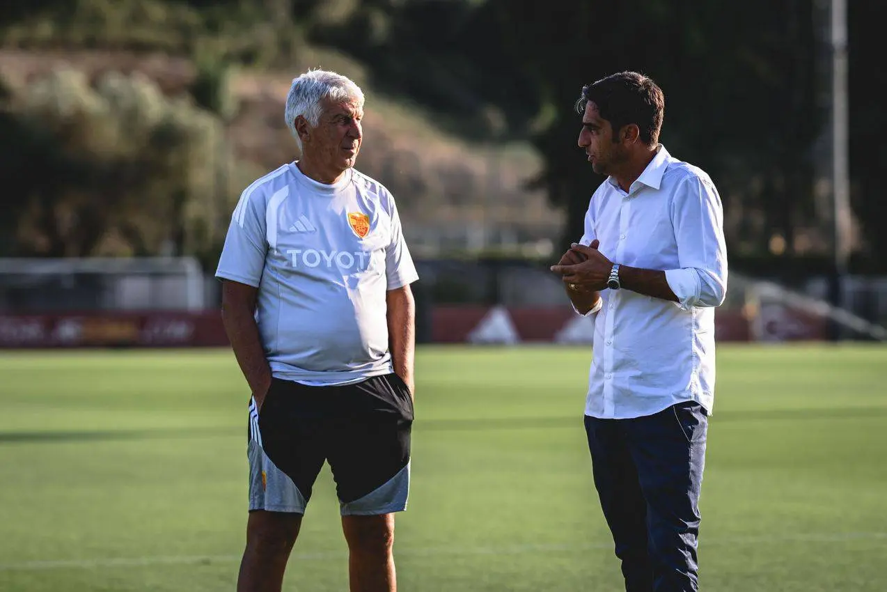 D'Amico Gasperini