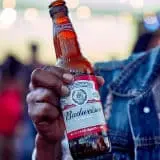 budweiser nederland