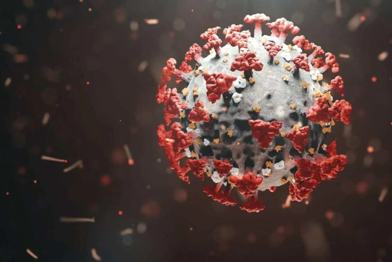 coronavirus mark rutte mannenzaken