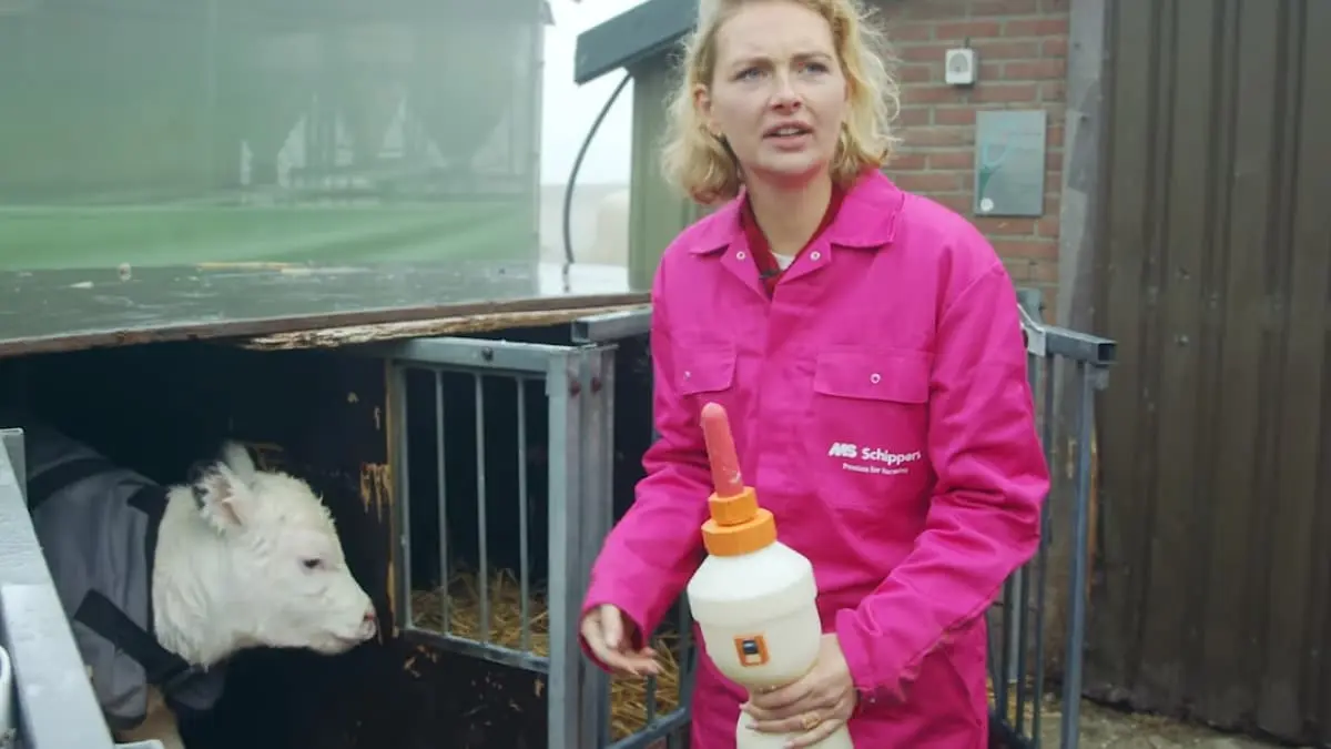 maxime meiland boerin kalvijn boerderij
