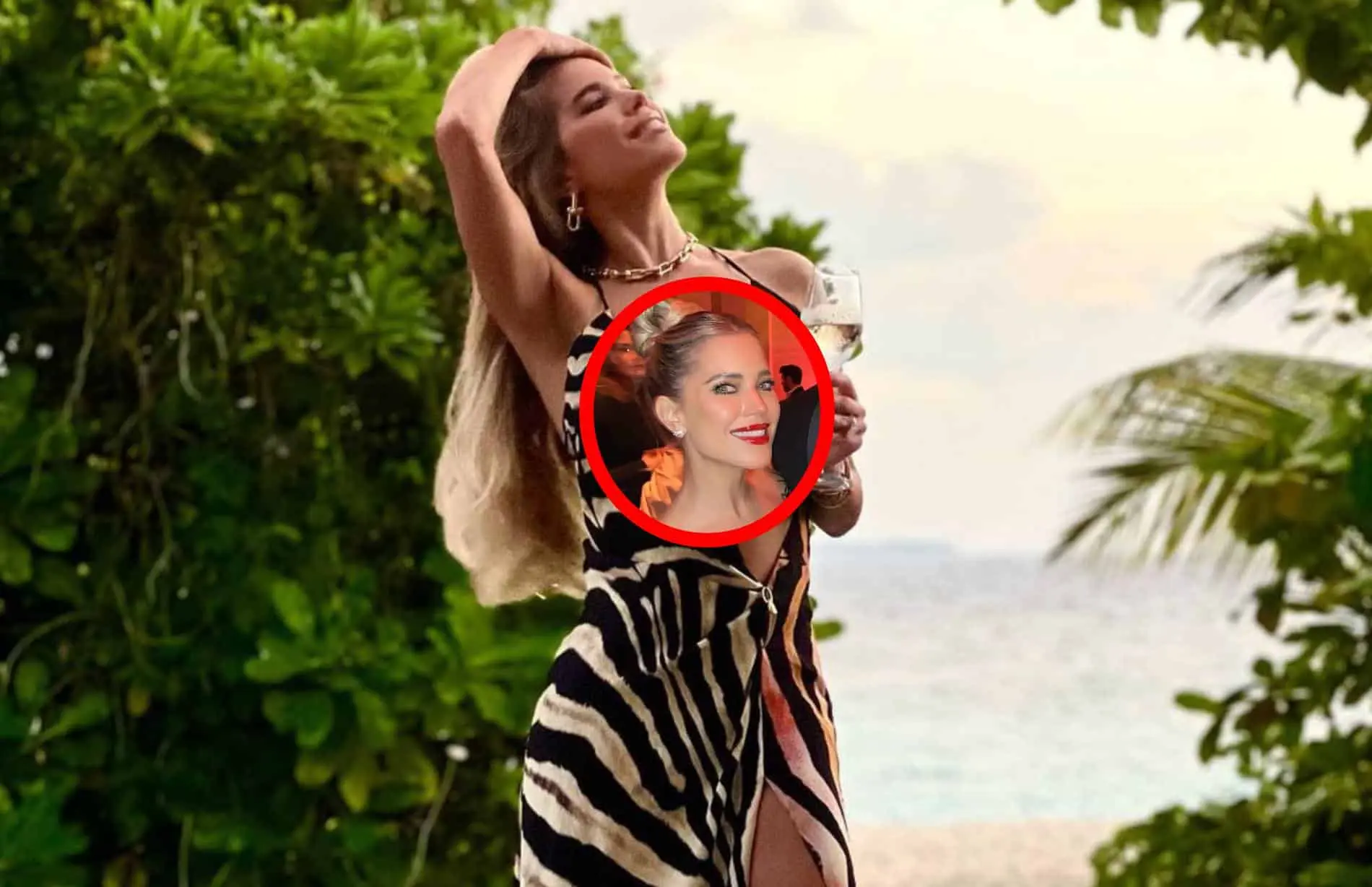 sylvie meis misselijkmakend video