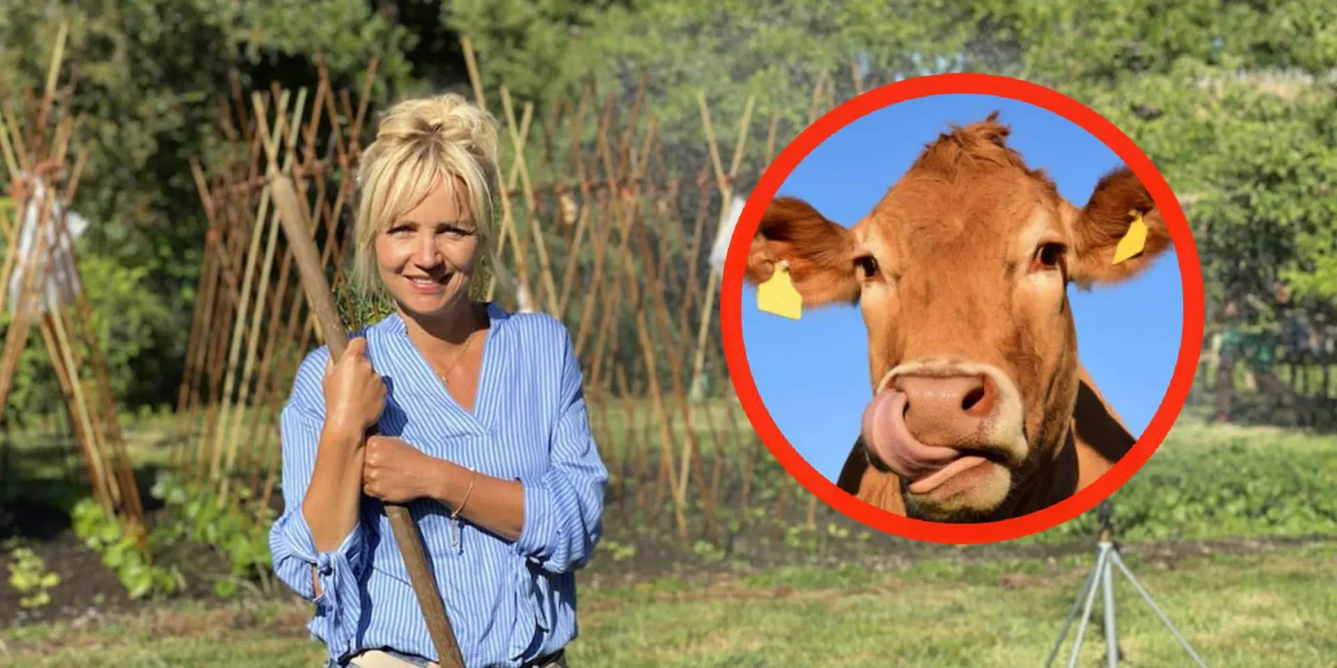 yvon jaspers boer zoekt vrouw foto
