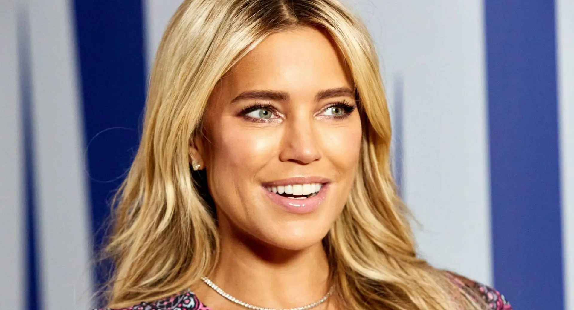 sylvie meis