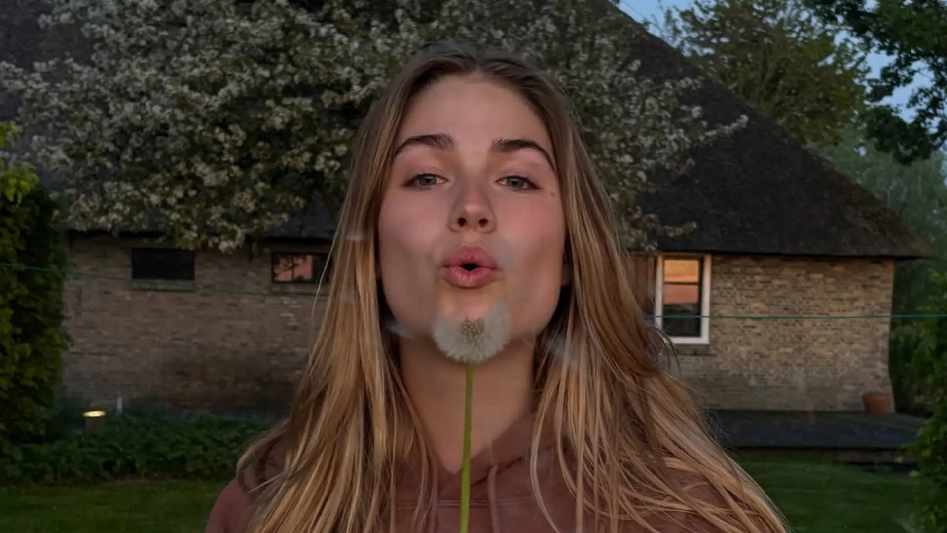 Roxy Dekker bloem