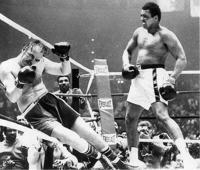00wepner