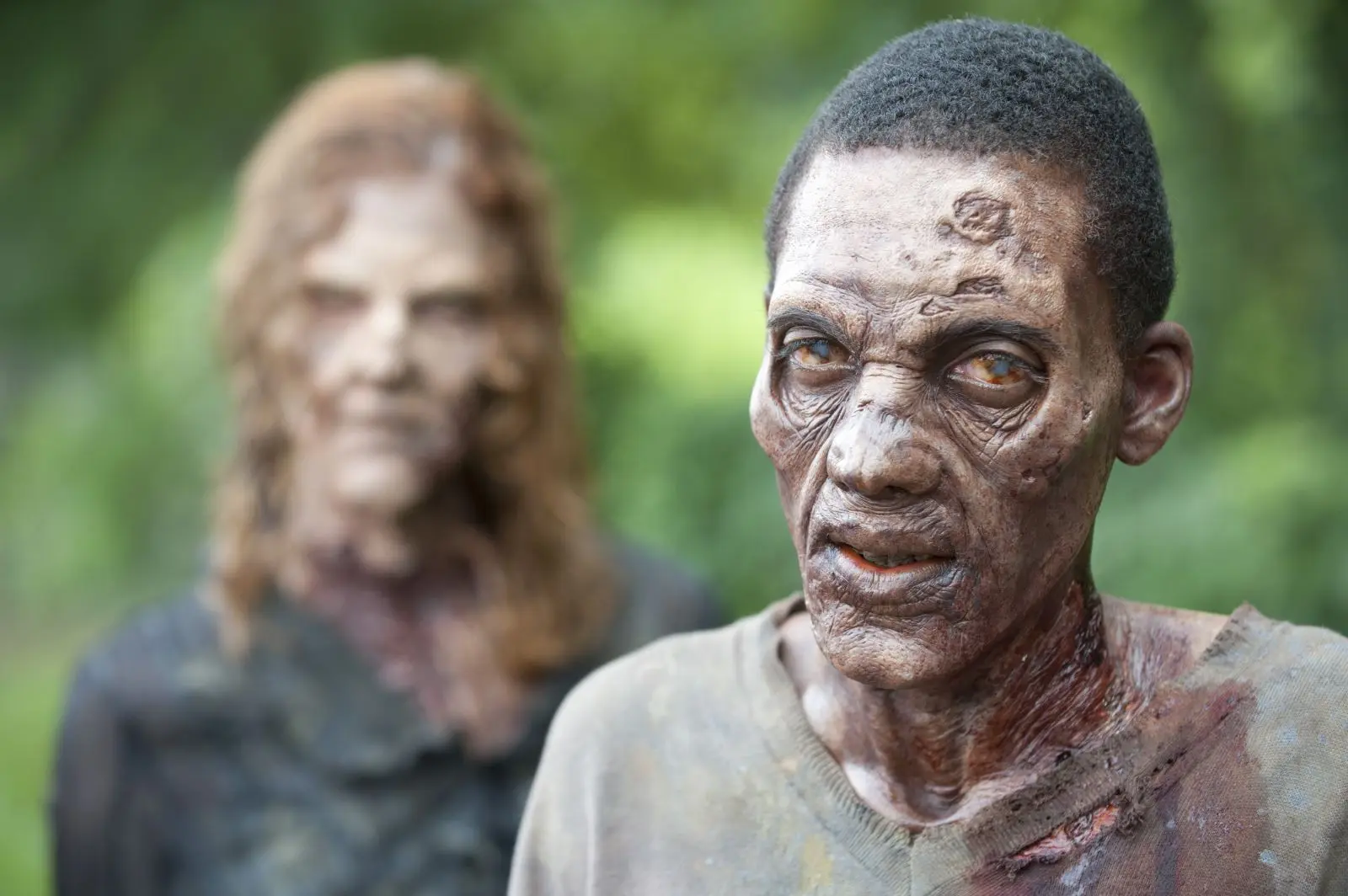 1 the walking dead