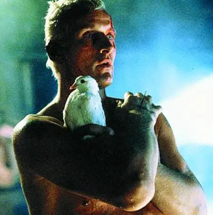 bladerunner