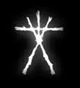 blairwitch