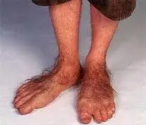 hobbit