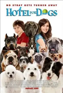 hotel20for20dogs