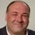 james gandolfini 2011 toronto international film festival