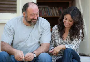 james gandolfini and julia louis dreyfus in enough said gallery primary article story main