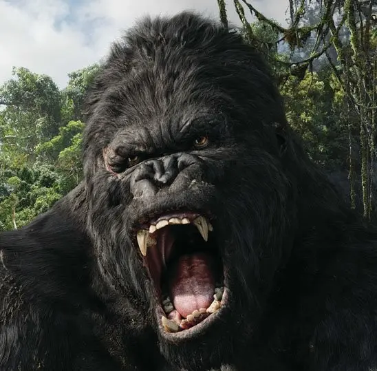 king kong