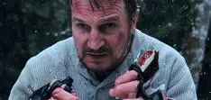 liam neeson in the grey