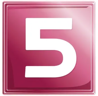 net 5 logo