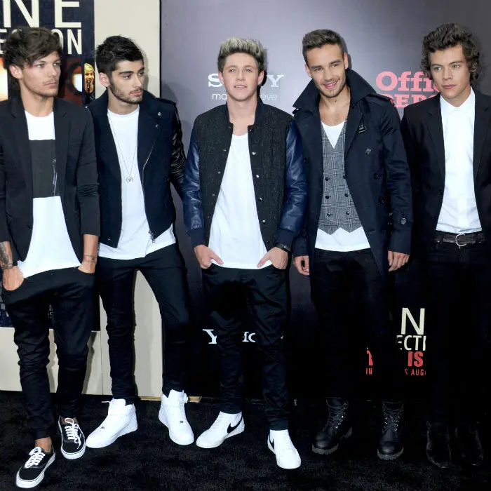 onedirection 290813