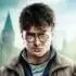 potter poster e1310167859435