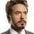 robert downey jr