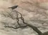 the raven 3