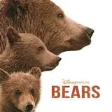 week201620headlines20 20bears