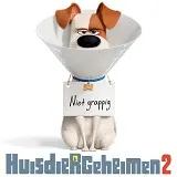 week202220headlines20 20huisdierengeheimen202