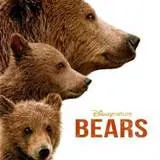 week203520headlines20 20bears