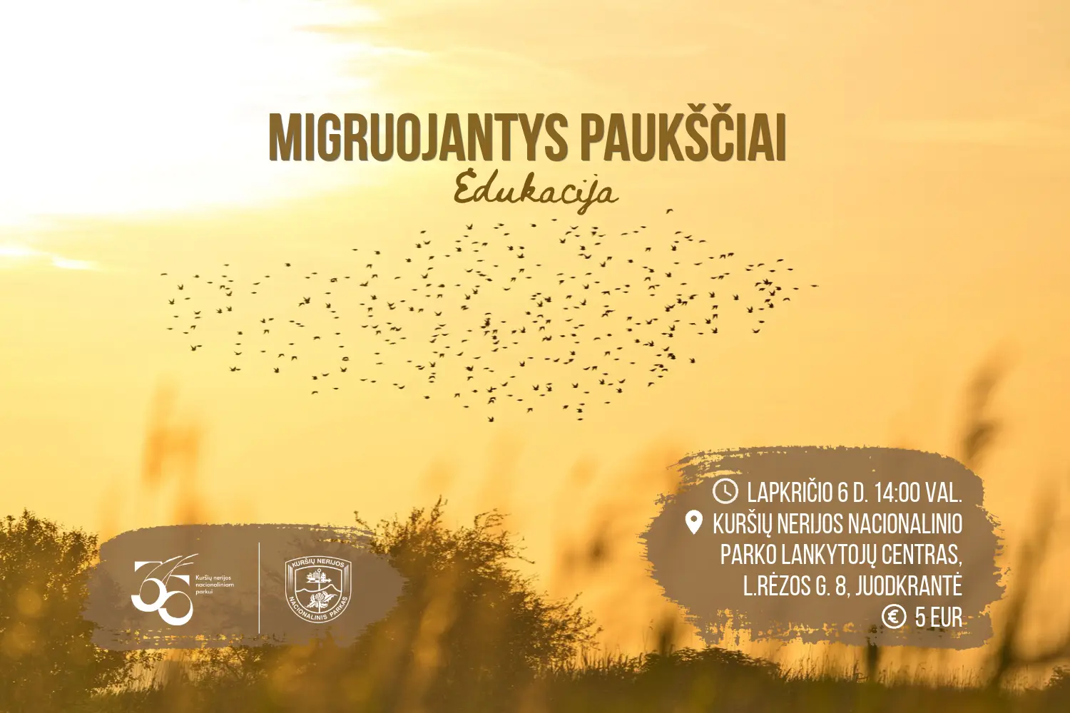 Migruojantys paukščiai. Edukacija