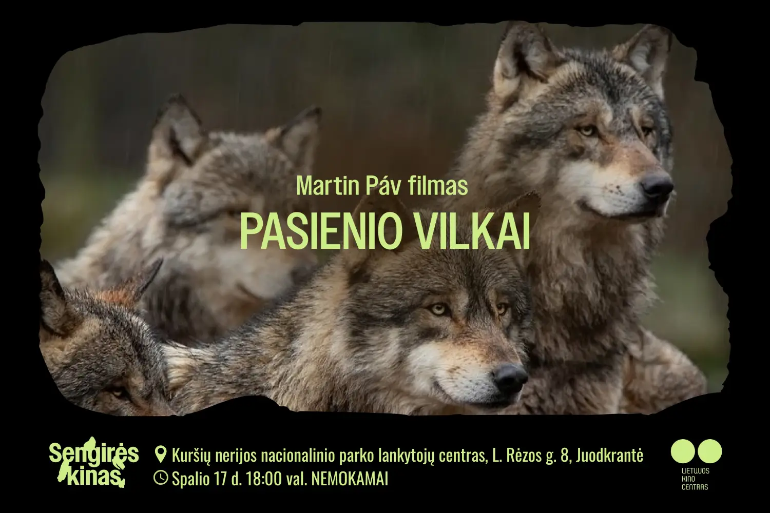 SENGIRĖS KINAS Kuršių nerijos nacionalinio parko lankytojų centre: PASIENIO VILKAI